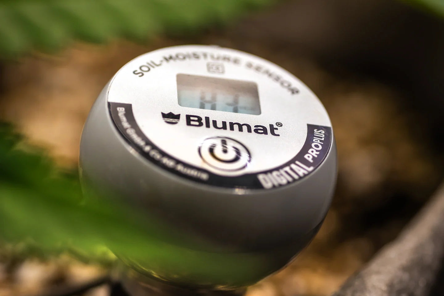 Blumat Digital