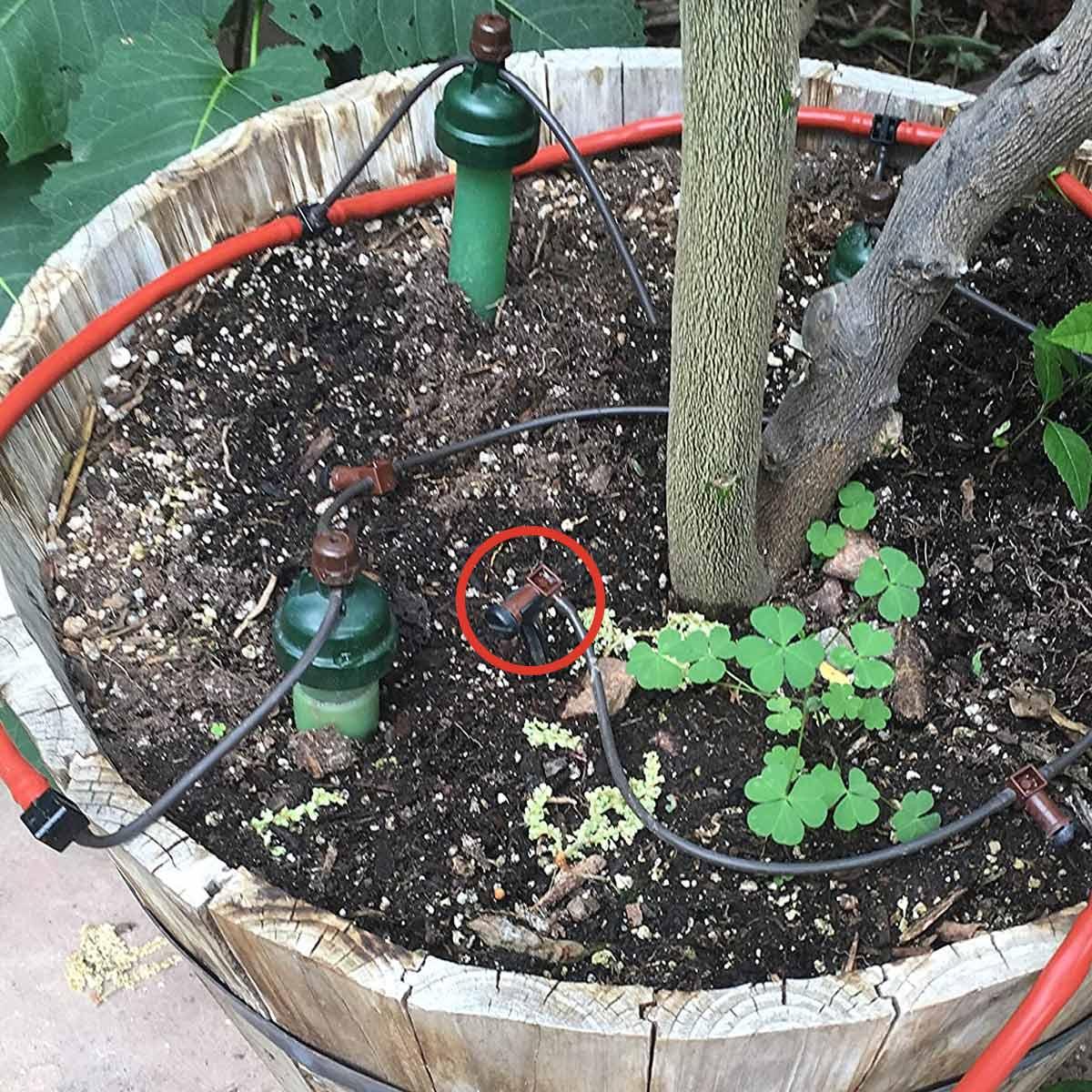 End-Distribution Dripper (Bulk)