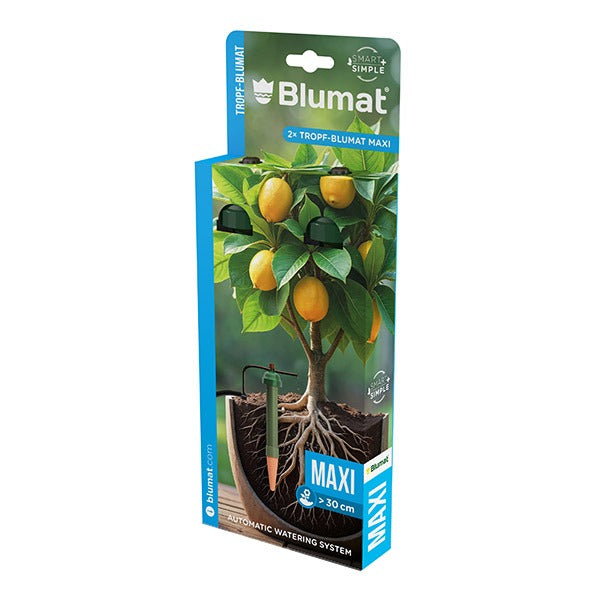 Tropf-Blumat Maxi 2 Pack