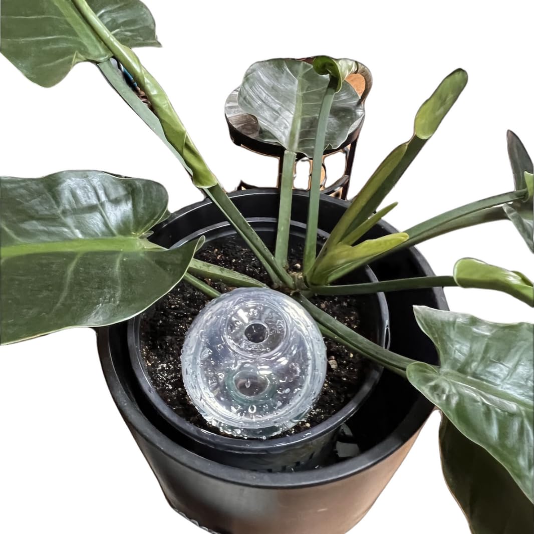Plastic Globe with Blumat Bottle Adapter
