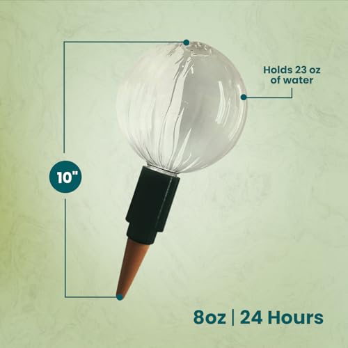 Glass Globe with Blumat Bottle Adapter