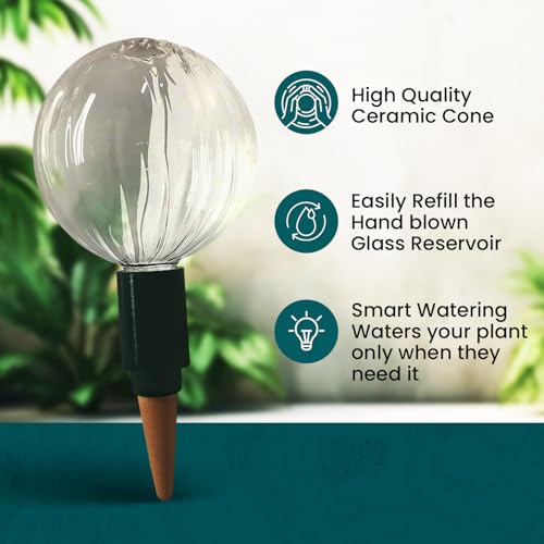 Glass Globe with Blumat Bottle Adapter
