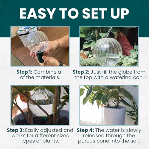 Glass Globe with Blumat Bottle Adapter