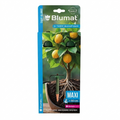 Tropf-Blumat Maxi 2 Pack