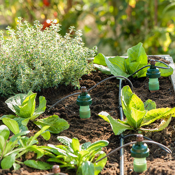 about us image 4.jpg__PID:76b20c60-ae57-4905-aa08-24c419781dc9