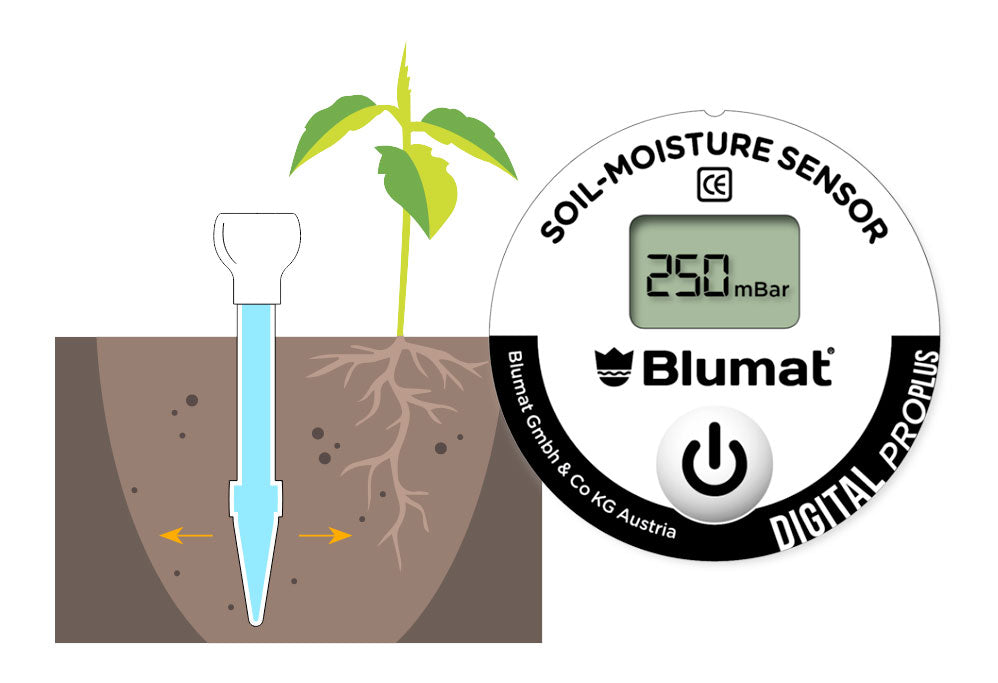 digit-function-image-2.jpg__PID:d2dede8a-688d-4b5a-8fd7-da54d8cde993